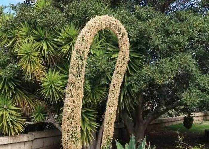 度假居 Marbella Guia Isora By Interhome *